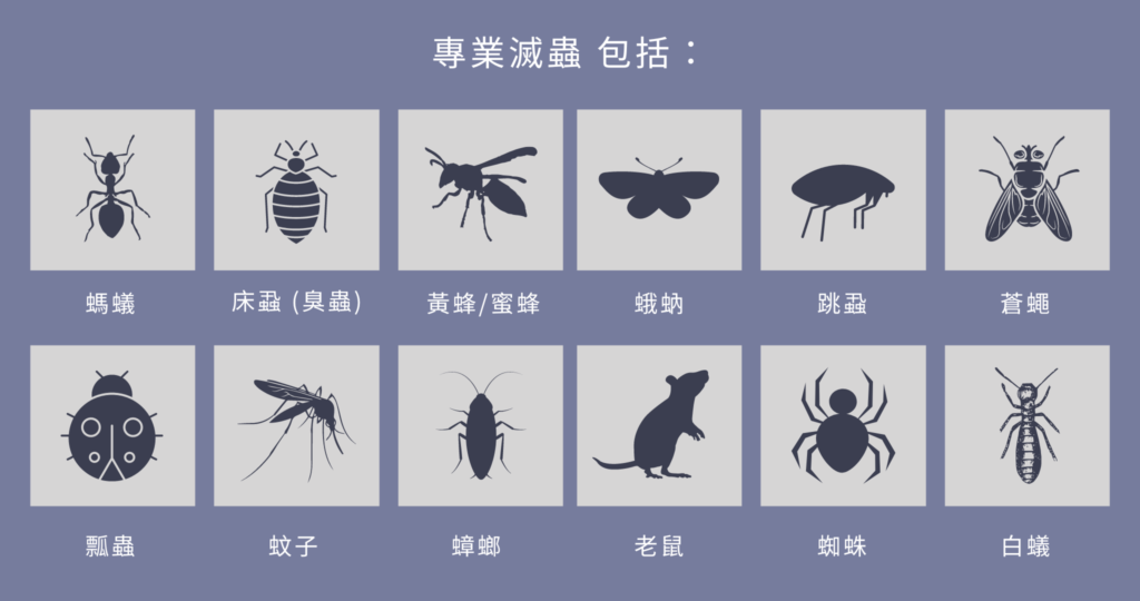 Preserving Your property Pest-Free The primary Information to be able to Pest Control Services